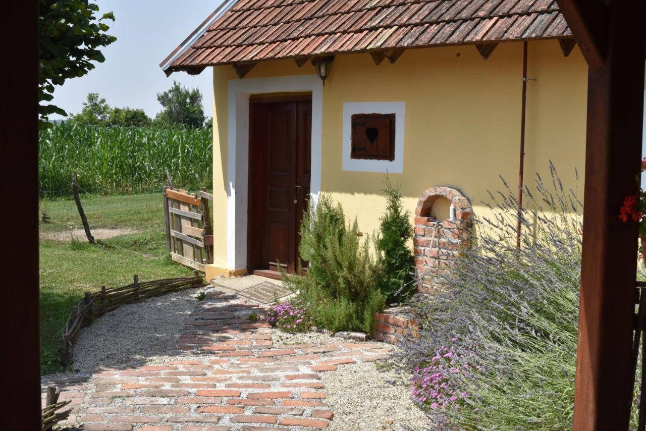 Country House Ivancan Molve Exterior photo
