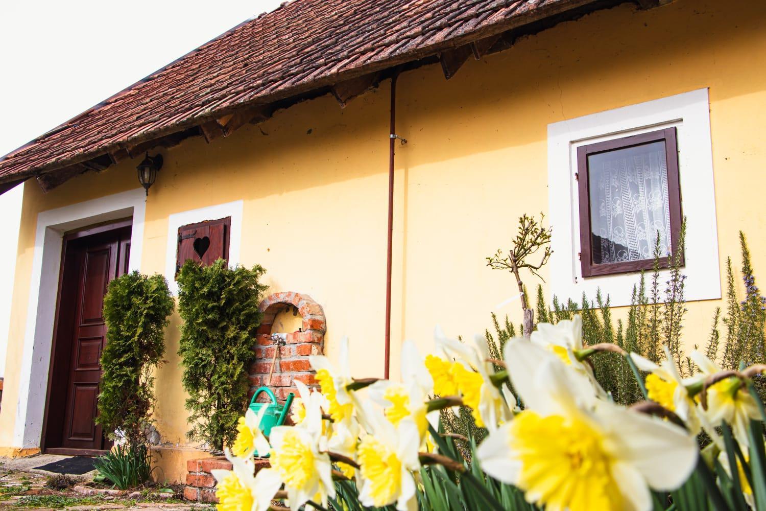 Country House Ivancan Molve Exterior photo